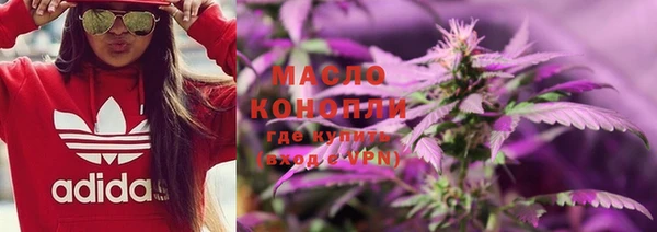 дмт Осинники