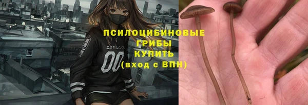 дмт Осинники