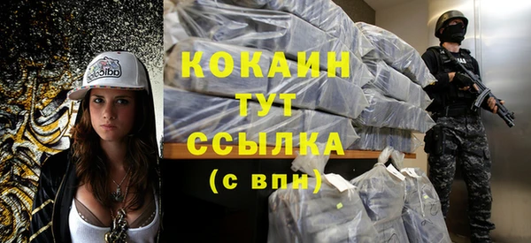 дмт Осинники