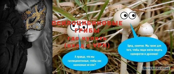 дмт Осинники