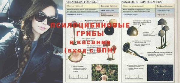а пвп мука Осташков