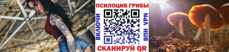 Псилоцибиновые грибы мухоморы  кракен ссылки  Туапсе 
