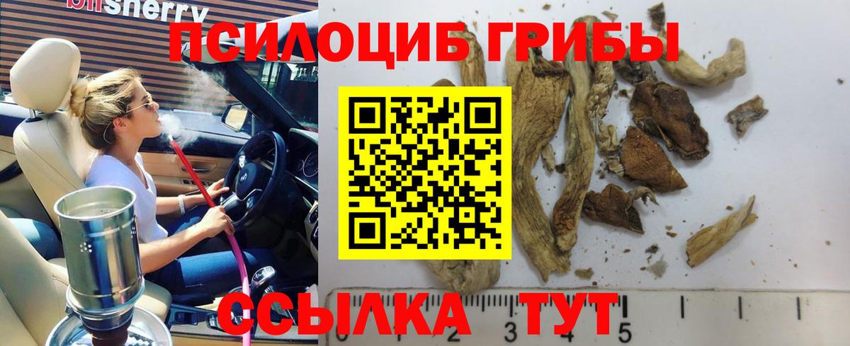 Псилоцибиновые грибы прущие грибы Туапсе